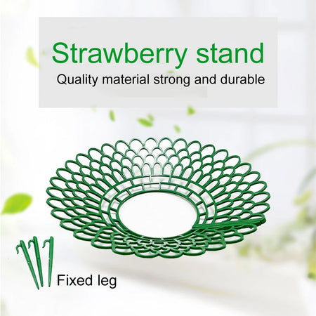 Sturdy 5PCS Strawberry Supports for Optimal Plant Growth