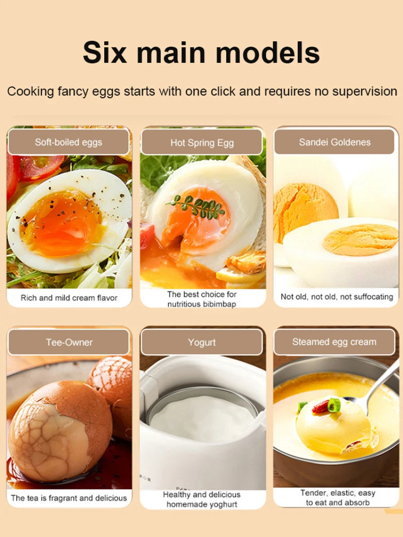 Electric Egg Cooker &amp; Steamer