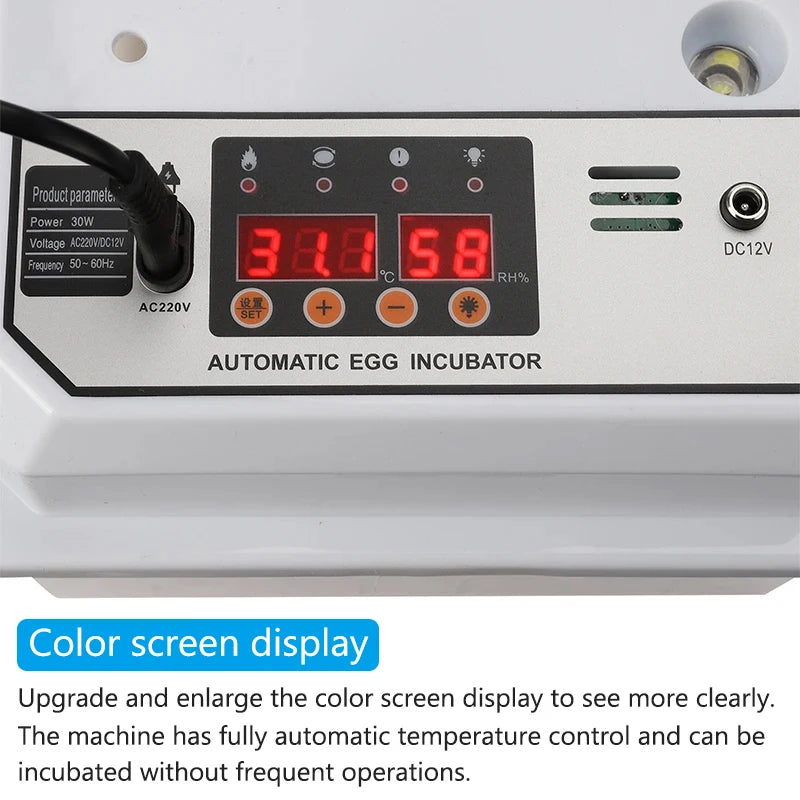 16 Eggs Dual-Electric Automatic Egg Incubator &ndash; Auto Turn