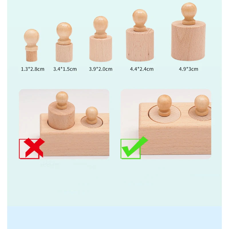 Montessori Knobbed Cylinder Socket Toy - Motor Skills