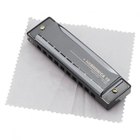 Professional Blues Harmonica 10 Hole 20 Tone &ndash; For Beginners