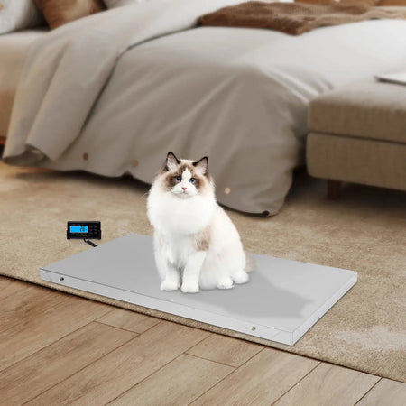 300KG/660LBS Digital Animal Scale - Stainless Steel Platform