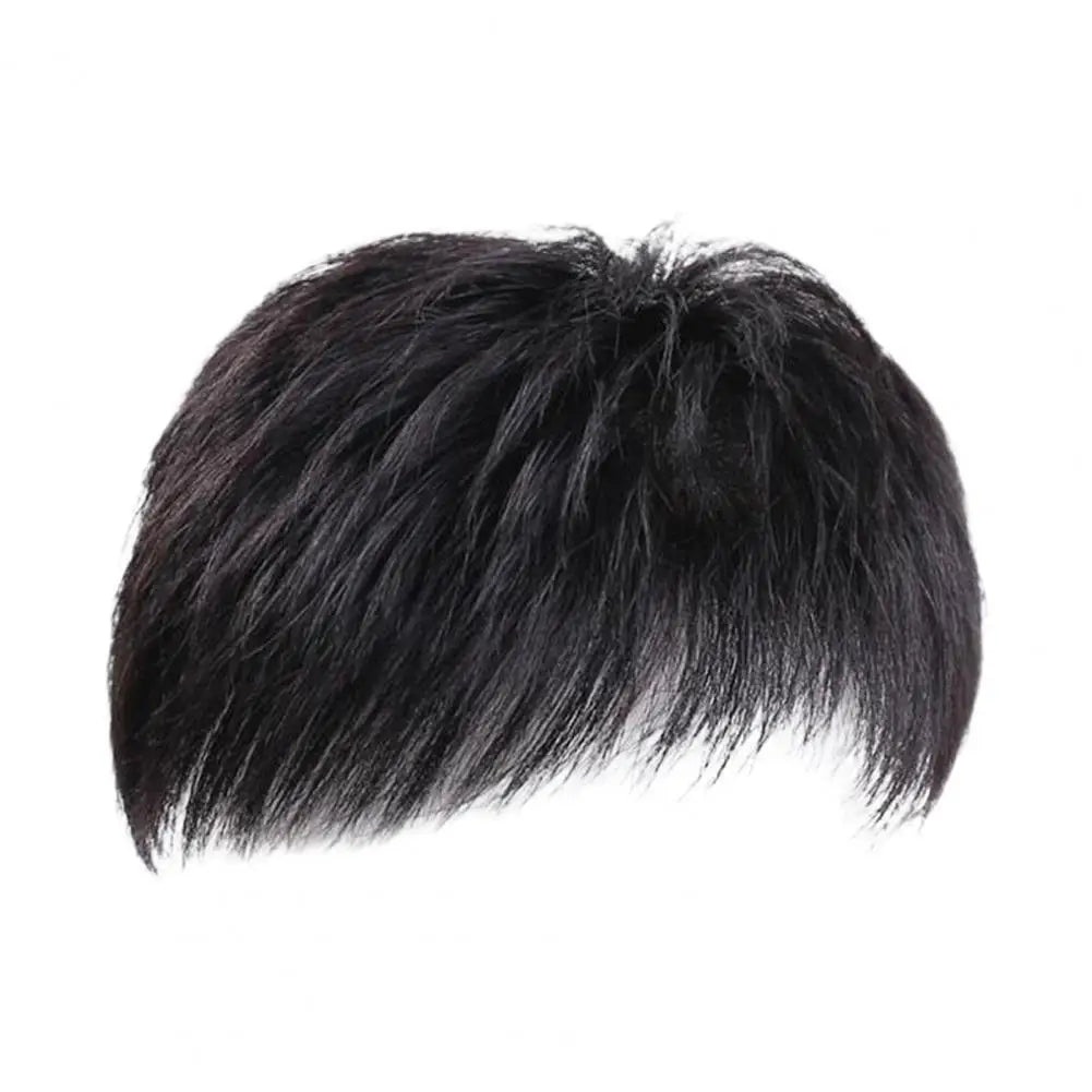 Men's Short Straight Hairpiece with Bangs for Gray Hair Coverage Black