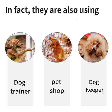 Auto-Control Dog Training Collar &ndash; Smart HD Display