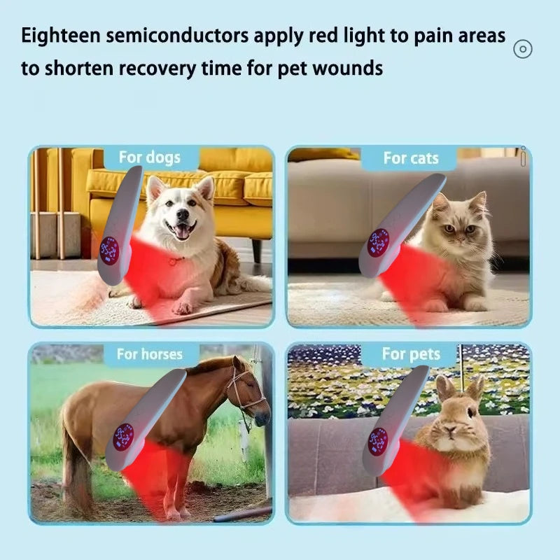 Smertelindrende Laser 17 Dioder 650nm 808nm Til Sene Rehabilitering