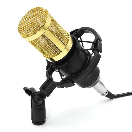 BM 800 Studio Condenser Microphone