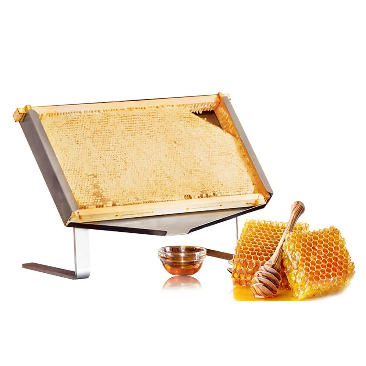 Beehive Frame Holder &ndash; Durable Beehive Frame Display Stand