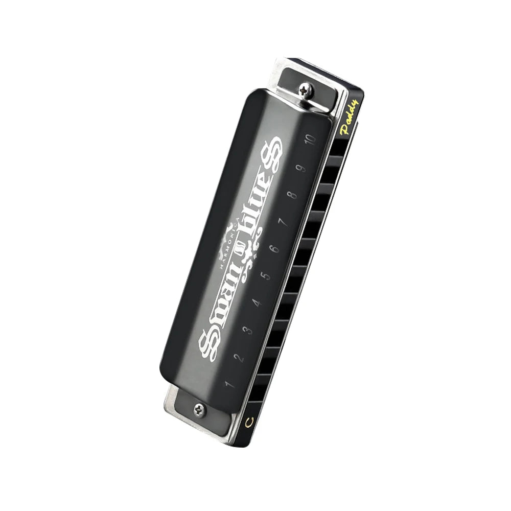 SWAN Blues Harmonica C Key 10 Holes &ndash; Ideal for Beginners black