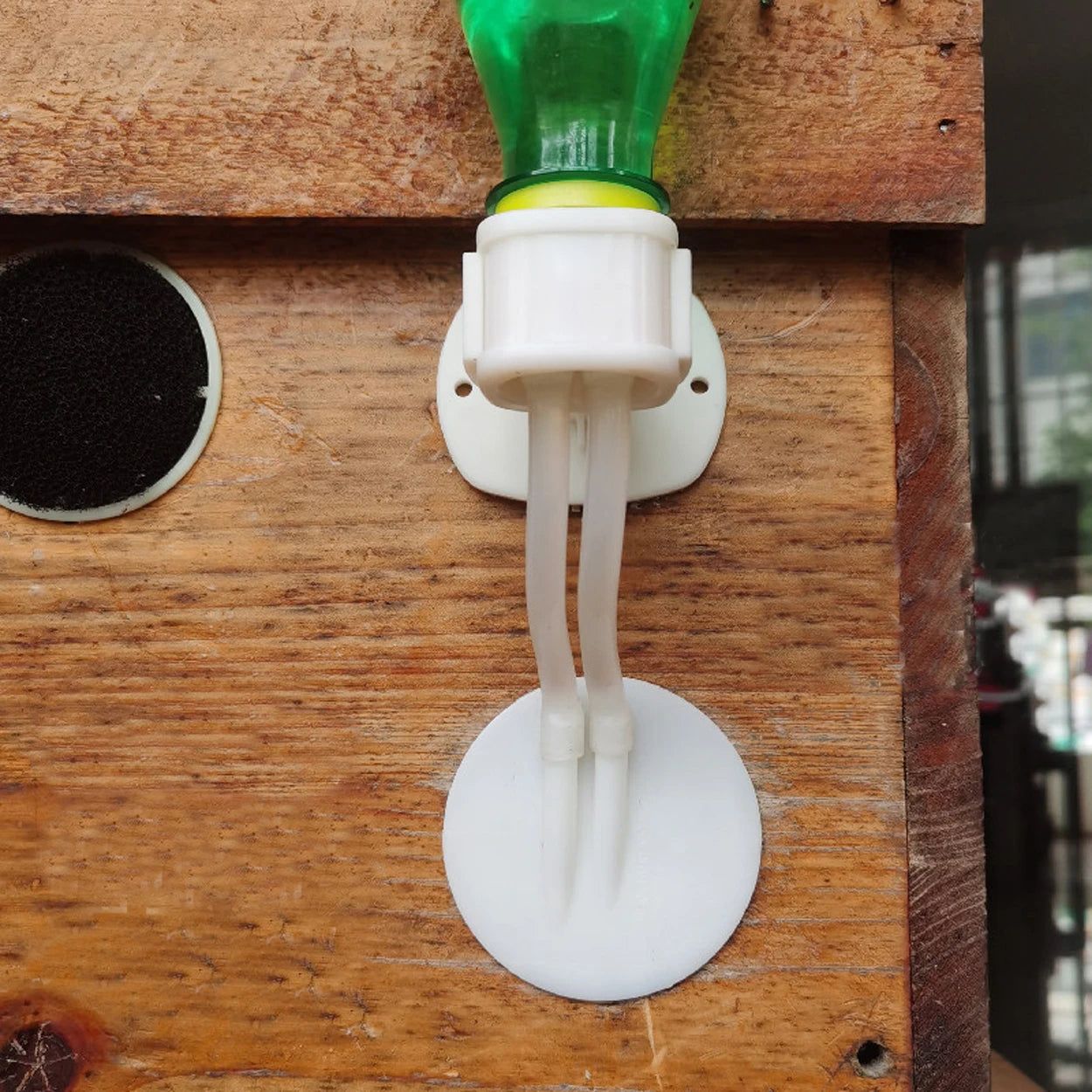 Bee Feeder SR0050 - Automatic Internal Water Feeding