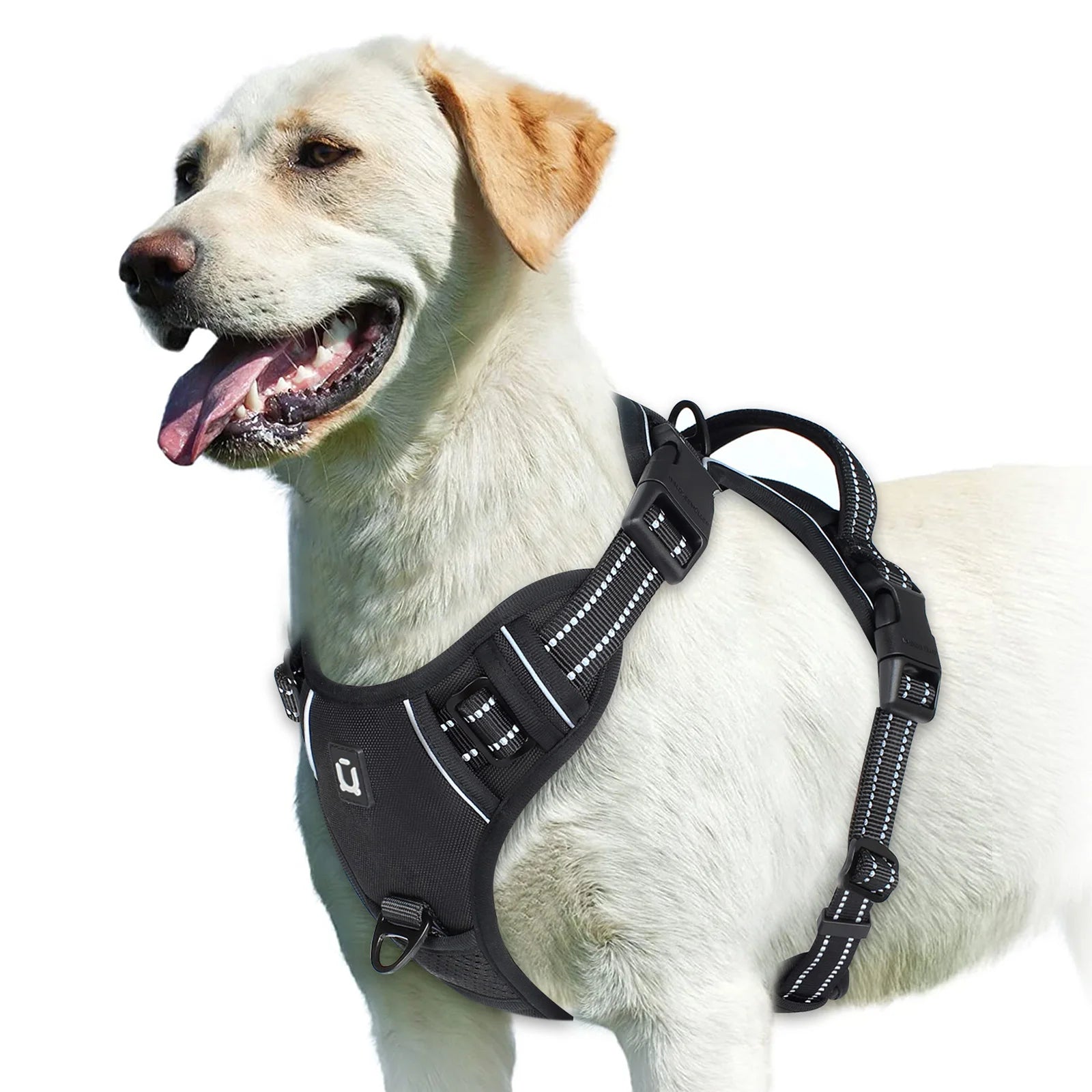 No Pull Dog Harness &ndash; Soft Padded Vest With Easy Control black / XL