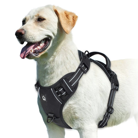No Pull Dog Harness &ndash; Soft Padded Vest With Easy Control black / XL