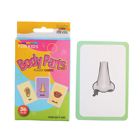 English Flashcards for Toddlers - 36 Educational Cards for Animal, Fruit, Shape, and Color Recognition Body parts