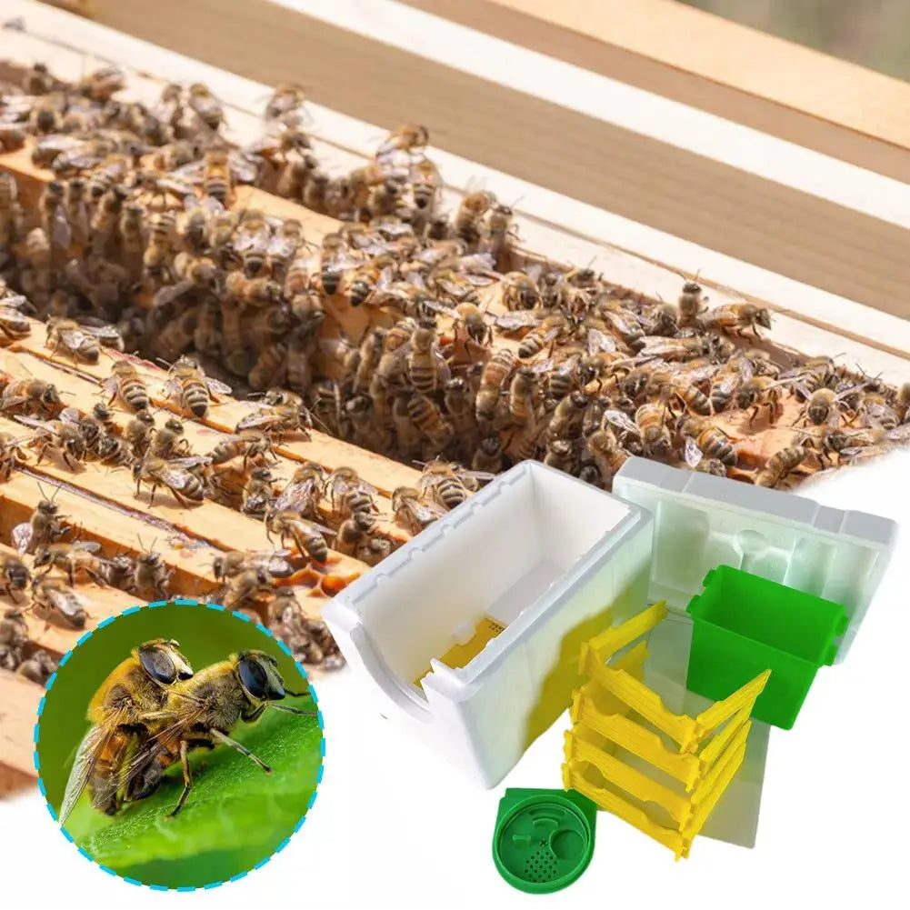 C9y9 - Compact Beehive Box for Pollination and Beekeeping