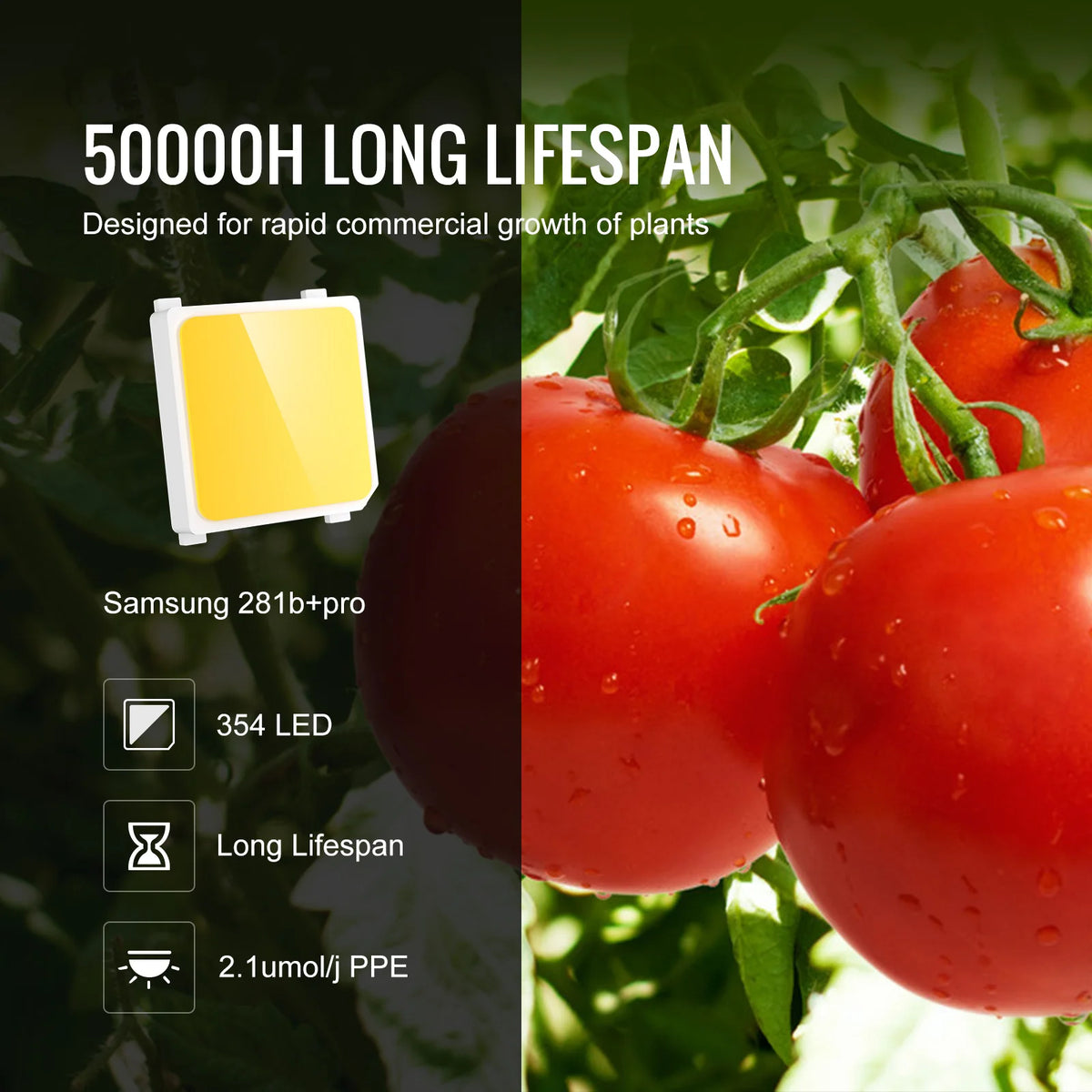 SucceBuy Quantum Board LED Grow Light 281B &ndash; Full Spectrum