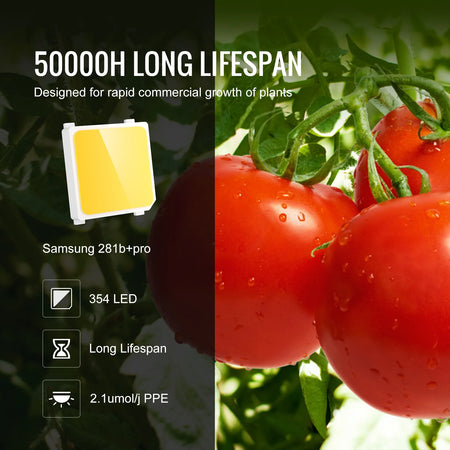 SucceBuy Quantum Board LED Grow Light 281B &ndash; Full Spectrum