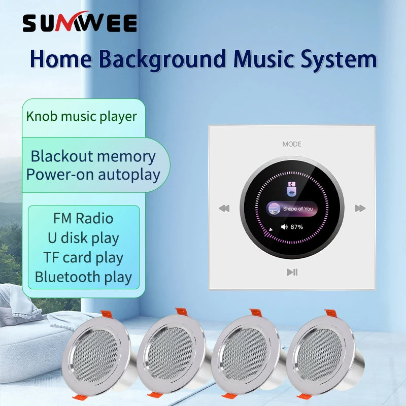 86-Typ Knopf HiFi-Musiksystem mit Deckenlautsprechern und Wandverstärkern