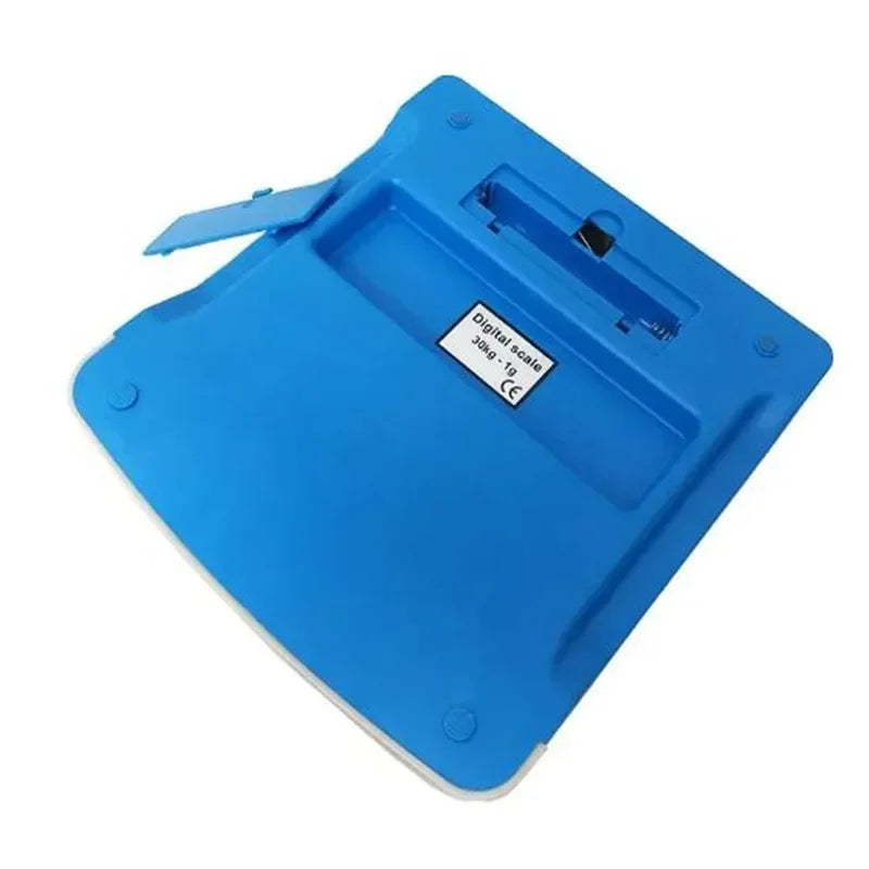 DT-580 Digital Postal Floor Scale &ndash; High Precision 1 g