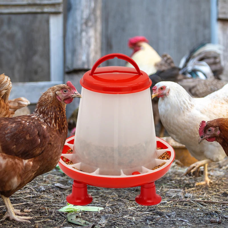 Poultry Feeder Automatic Drinker Bucket &ndash; 3L Capacity