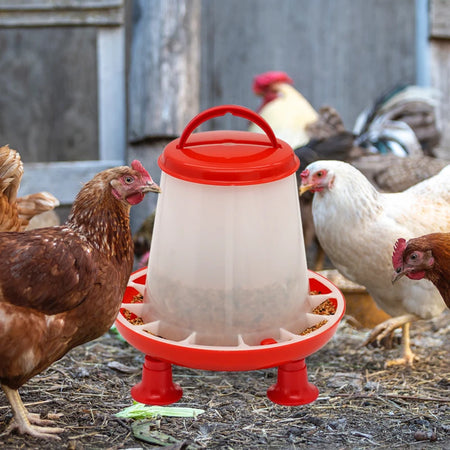 Poultry Feeder Automatic Drinker Bucket &ndash; 3L Capacity