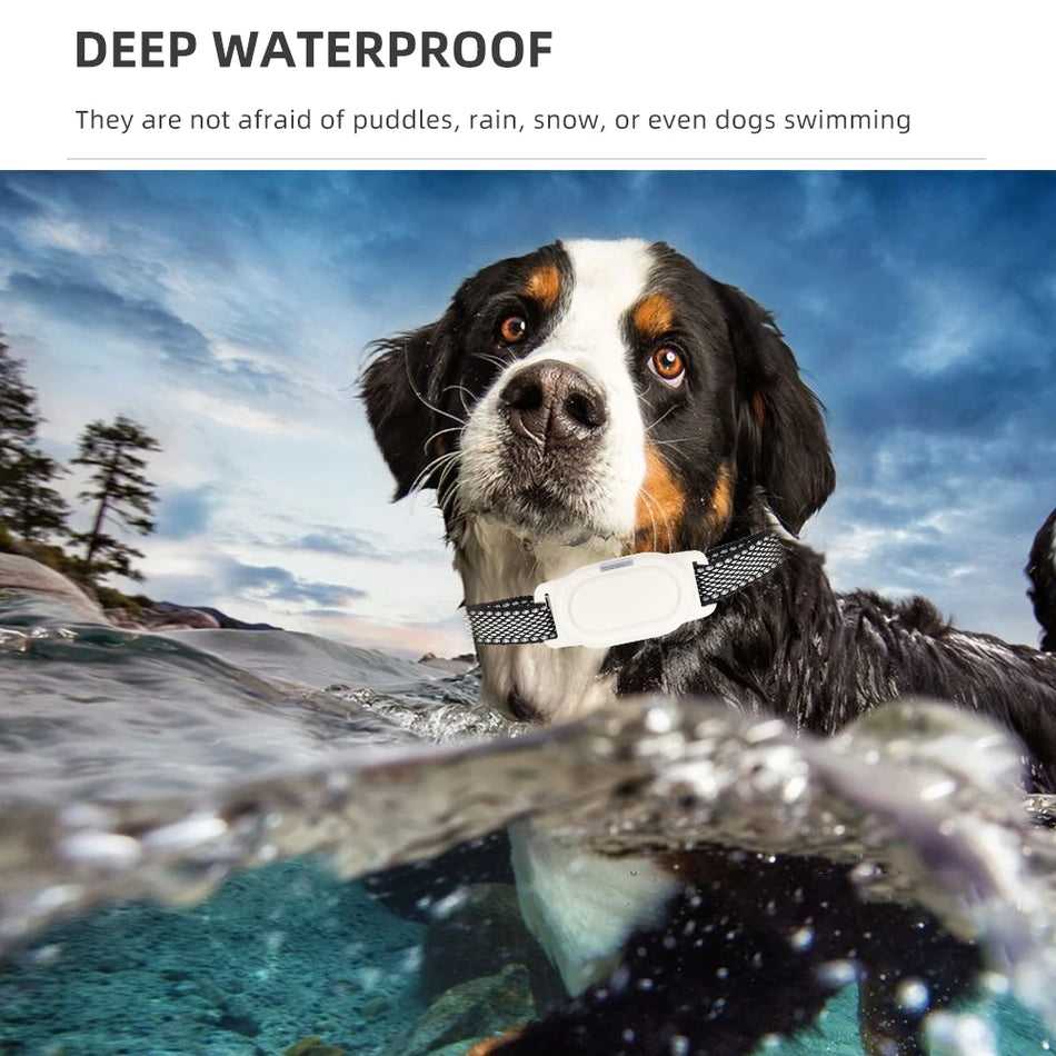 800M Remote Control Dog Training Collar - Rechargeable