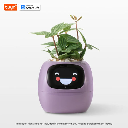 Tuya Ivy Smart Planter with AI, 49 Expressions &amp; 7 Sensors Purple
