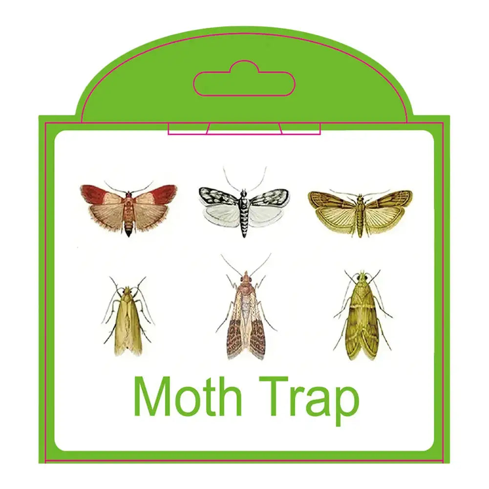 5Pcs Moth Pheromone Traps For Closet Pantry Kitchen Clothes Green White