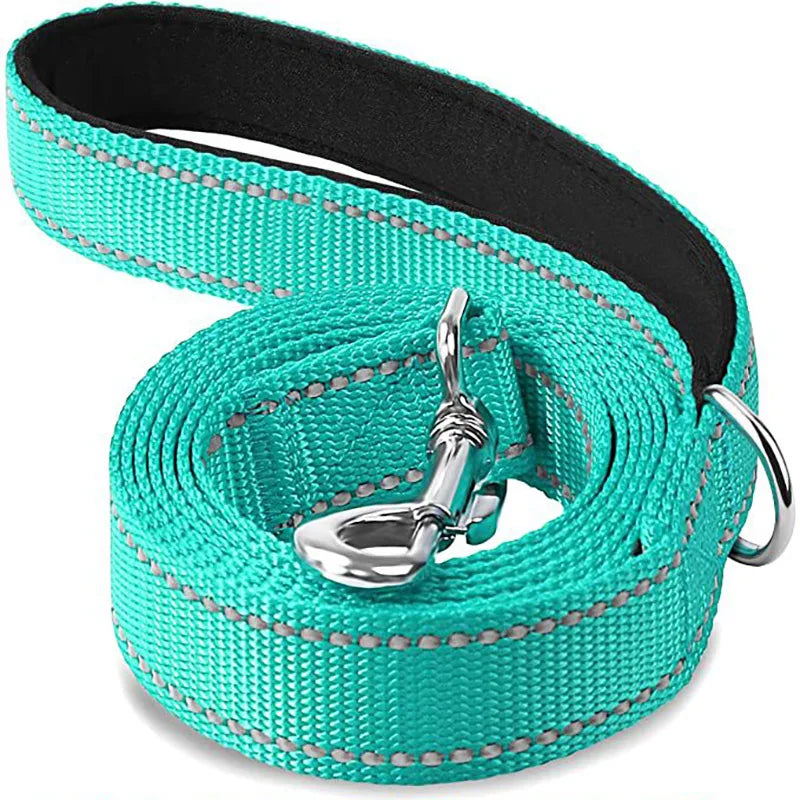 Durable Night Reflective Pet Leash and Harness for Dogs cyan / 2.5x120cm