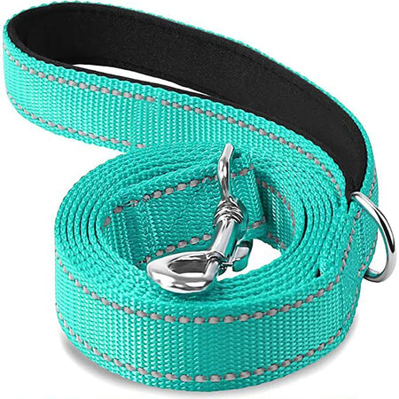 Durable Night Reflective Pet Leash and Harness for Dogs cyan / 2.5x120cm