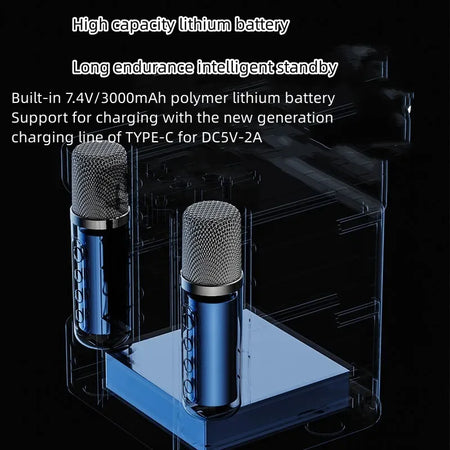 YS-203 Dual Microphone Karaoke Machine - Dual Wireless Mics