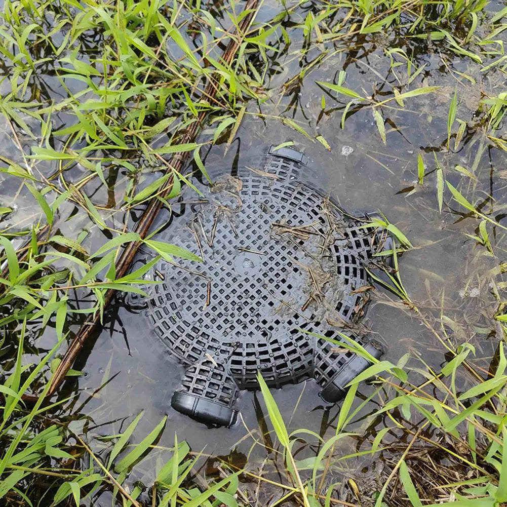 Versatile Fishing Net Cage for Eels, Crabs &amp; Small Fish