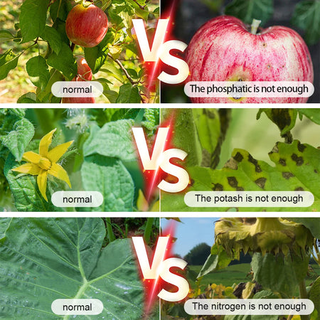 Garden Plants Soil NPK Tester 4 In 1 &ndash; Backlit LCD Meter