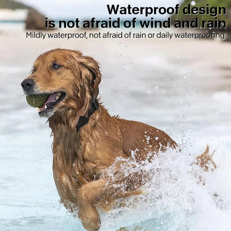 Cat Tracker GPS Collar &ndash; No Monthly Fees, iOS Android