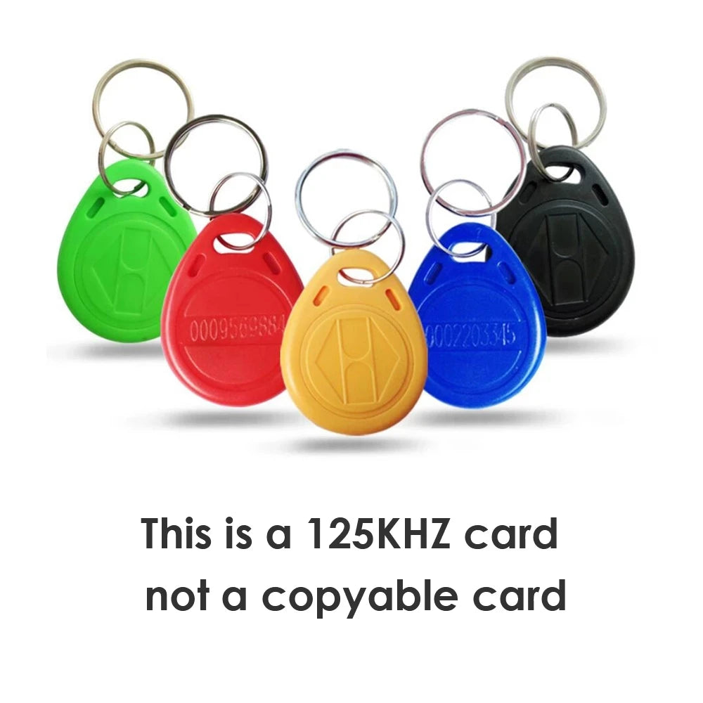 LUCKING DOOR EM4100 TK4100 RFID Keychain Tokens &ndash; Read-Only