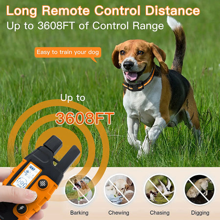 WXRPET Waterproof Electric Dog Training Collar with Remote Control
