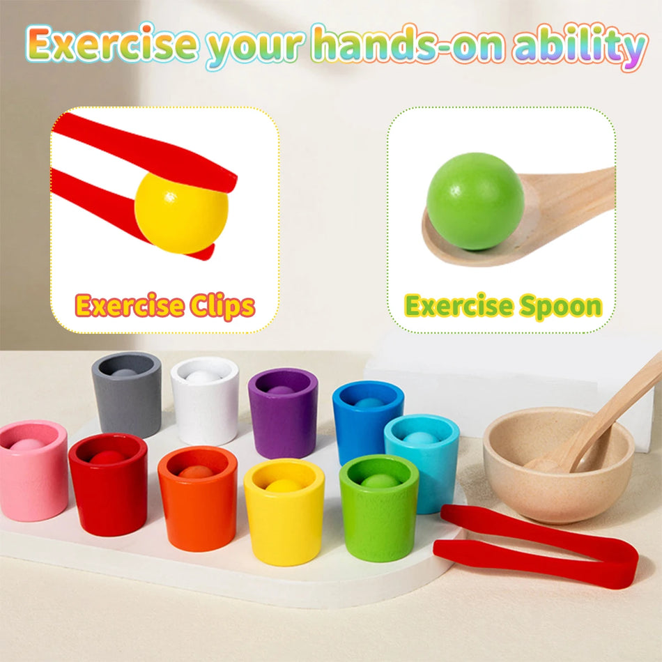 Μοντεσσόρι Μπάλες σε Κούπες Ξύλινο Παιχνίδι Ταξινόμησης Χρωμάτων για Προσχολική Ηλικία