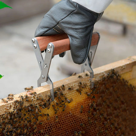 Bee Frame Clip Clamp Tong &ndash; Ergonomic Beekeeping Tool