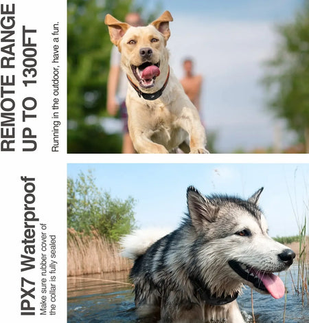 DB400 Dog Training Collar &ndash; Rechargeable Shock Collar