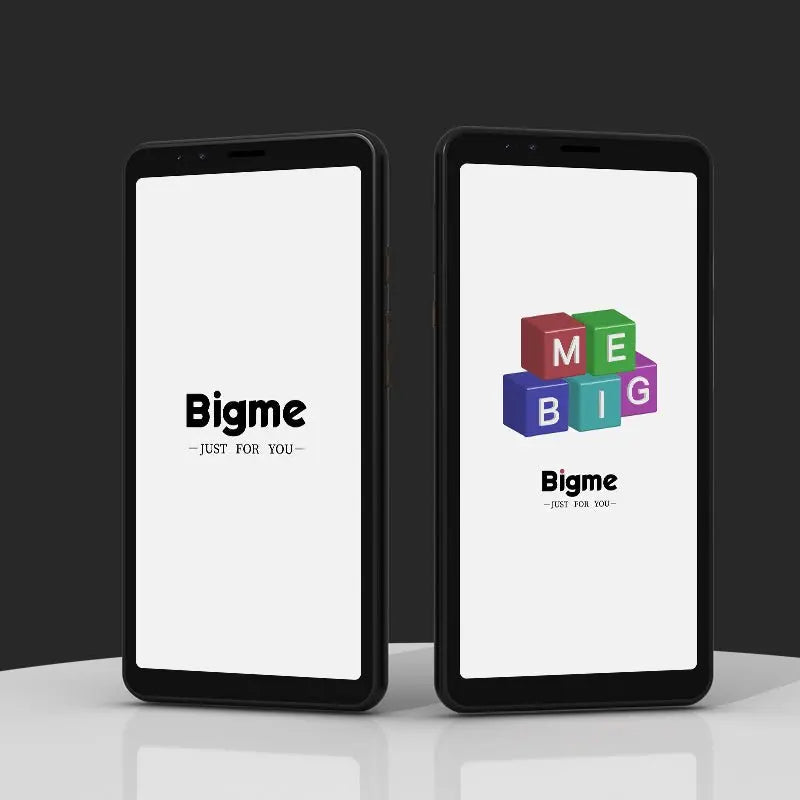 Bigme Hibreak &ndash; Android 11 E Ink Smartphone With Kindle App Color E-ink Screen / GERMANY