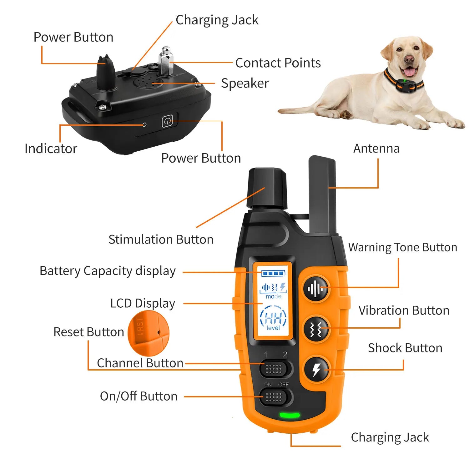 WXRPET Waterproof Electric Dog Training Collar with Remote Control