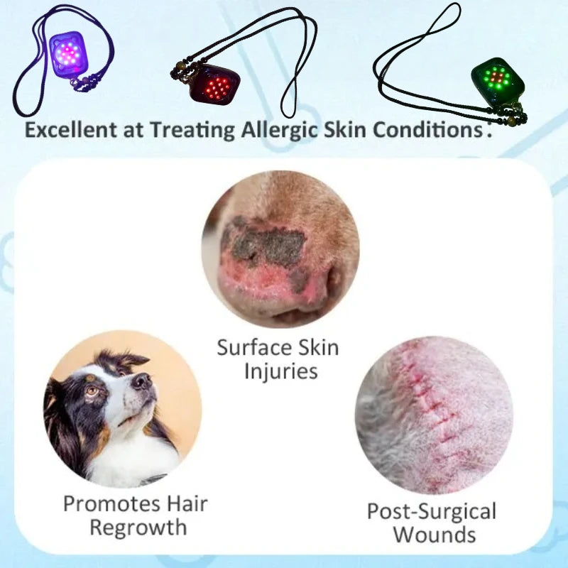 Huisdier LLLT Koude Laser Pijnverlichting Pen Rood Licht Dierenarts Goedgekeurd