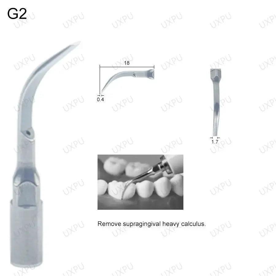 5pcs Dental Ultrasonic Scaler Tip Scaling Tip Periodontics Endodontics Fit EMS Woodpecker SATELEC DTE NSK by InterCyprus Trading Ltd