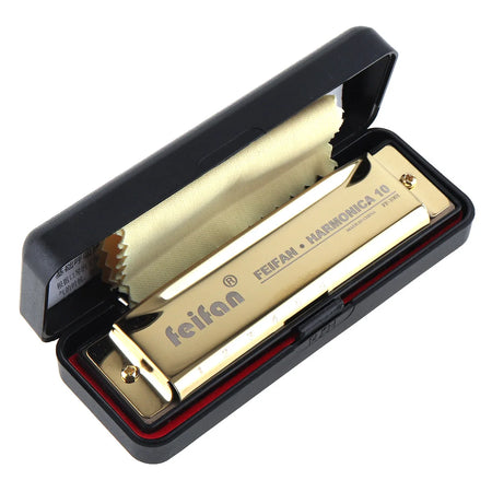 Professional Blues Harmonica 10 Hole 20 Tone &ndash; For Beginners