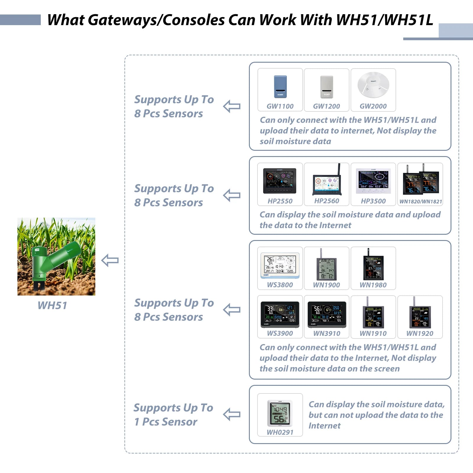 ECOWITT WH51 Wireless Soil Moisture Sensor for Smart Gardening