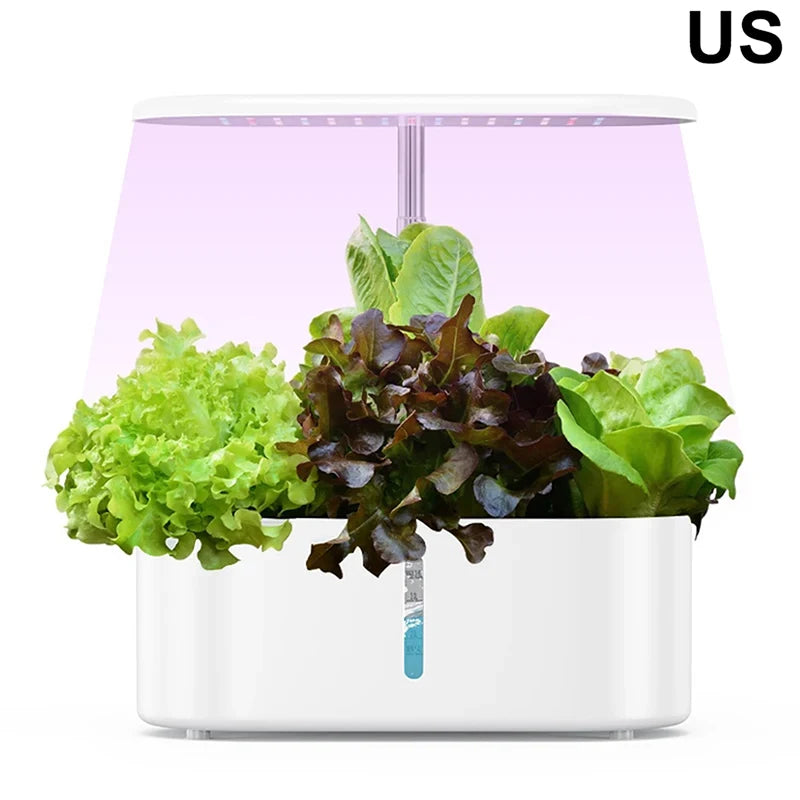Intelligent Hydroponic Growing System &ndash; Auto Timer Light US