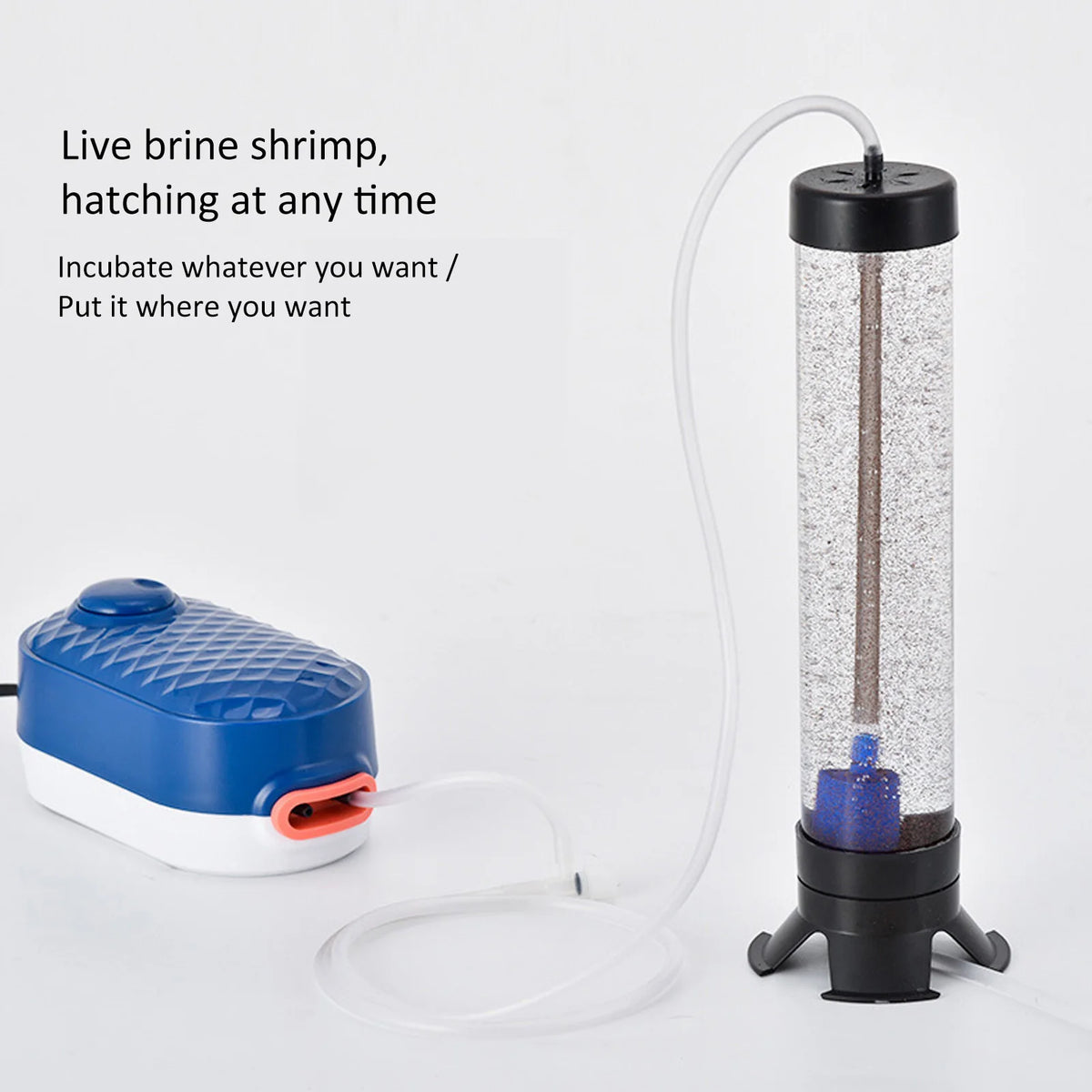 Artemia Eggs Hatchery Kit &ndash; Upgraded Amphibious Design