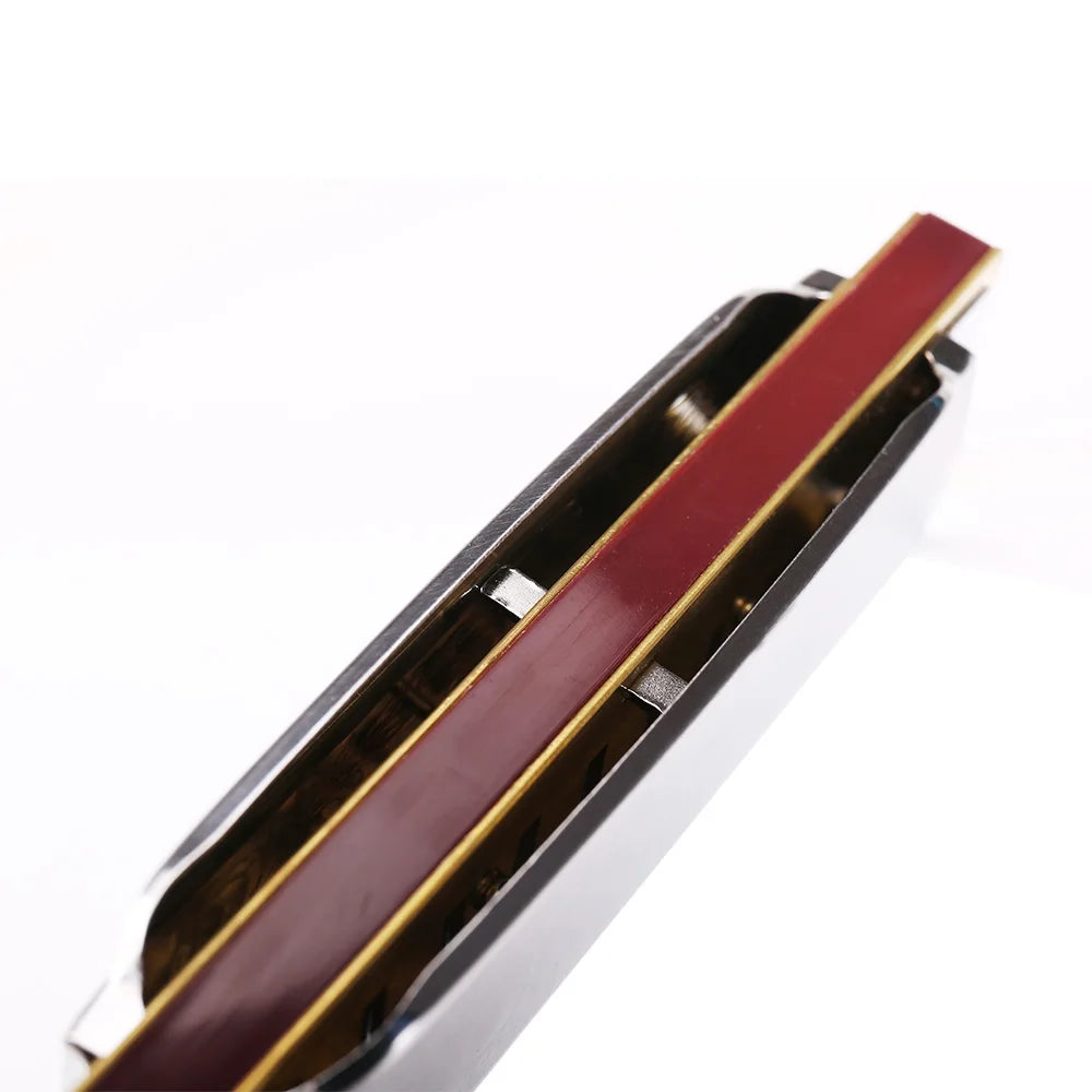 Harmonica Blues Mouth Harp &ndash; Diatonic Ten Hole Design