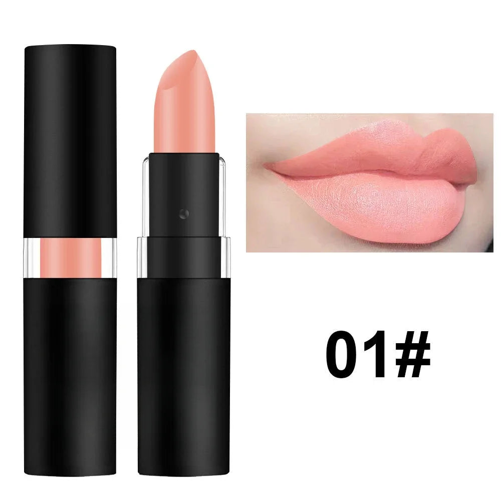 Matte Dark Wine Red Waterproof Lipstick - Easy to Apply, Long-lasting 01