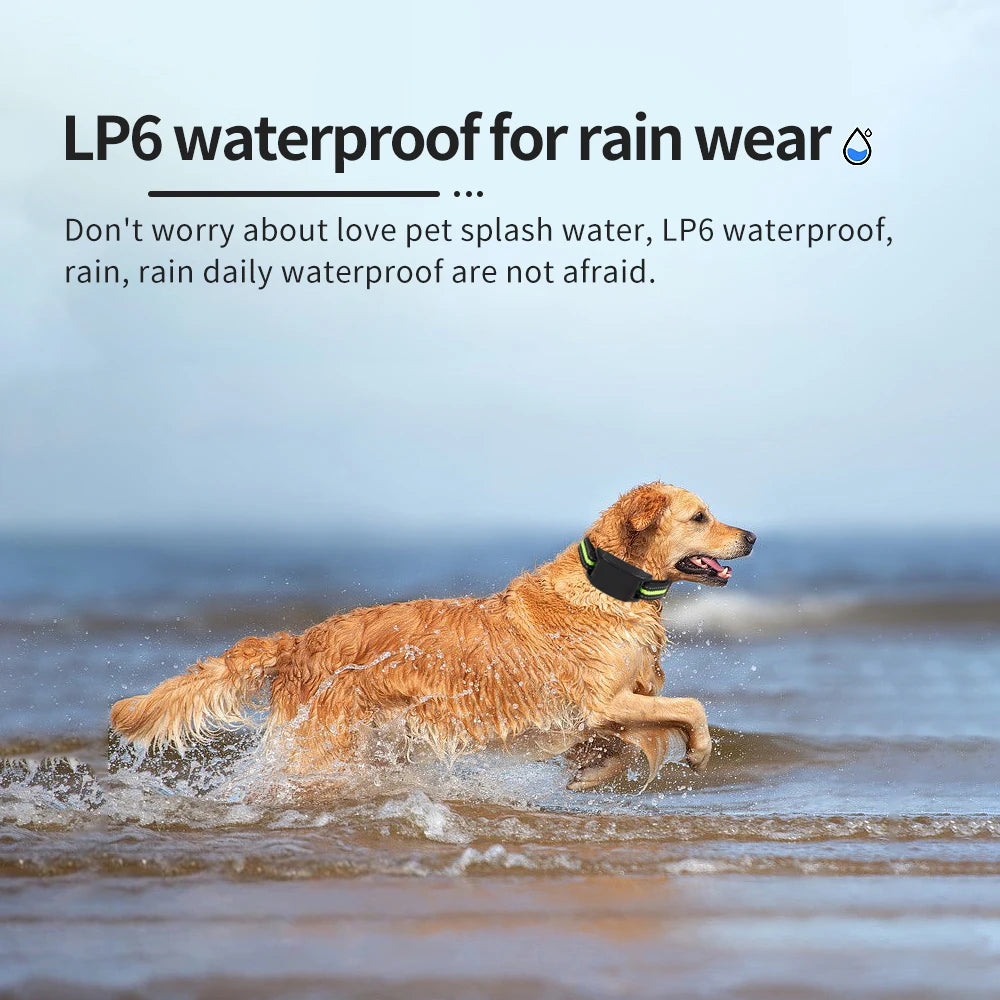 Automatic Bark Stop Device &ndash; Ultrasonic Bark Control