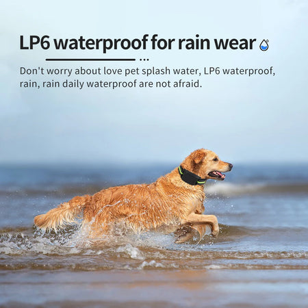 Automatic Bark Stop Device &ndash; Ultrasonic Bark Control