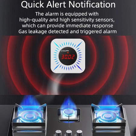 Tuya ZigBee CO and Gas Leak Detector &ndash; LCD Screen Display